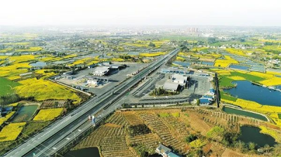 圖片3.png 圖片3.png