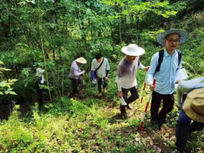 圖片3.png 圖片3.png