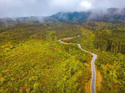 圖片6.png 圖片6.png