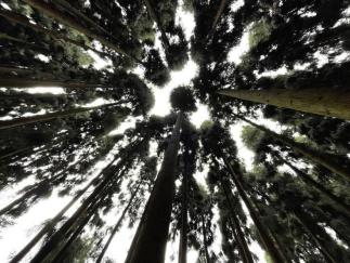 圖片1.png 圖片1.png