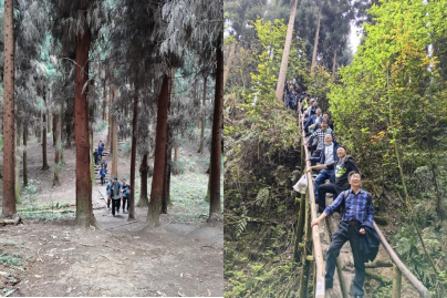 圖片3.png 圖片3.png