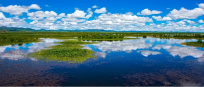 圖片6.png 圖片6.png