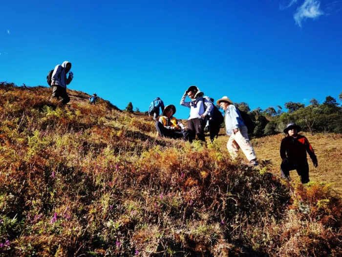 圖片11.png 圖片11.png