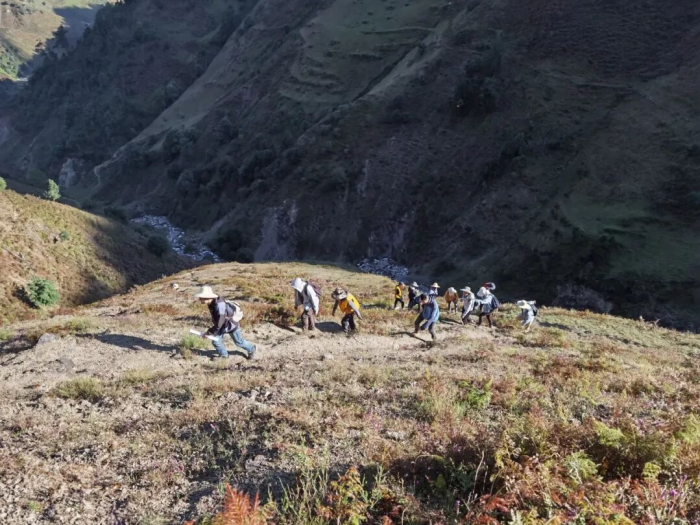 圖片12.png 圖片12.png