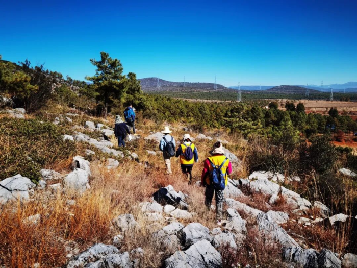 圖片13.png 圖片13.png